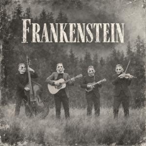 THE UNFAITHFUL SERVANTS Release Acoustic Version of FRANKENSTEIN Photo