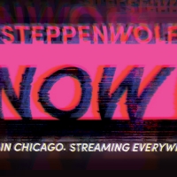 Steppenwolf Theatre Company Presents Virtual Productions with STEPPENWOLF NOW Photo