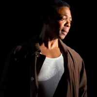 Review Roundup: FIRES IN THE MIRROR Off-Broadway - Read the Reviews Photo