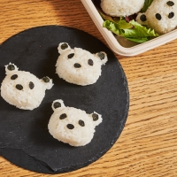 ROLLN in the Flatiron Shares News for 1/16 and their Special Panda Onigiri