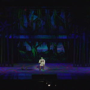 Video: Go Inside Opening Night of SHREK at The Muny Photo
