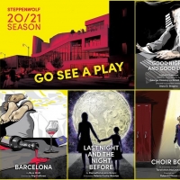 Steppenwolf Theatre Has Announced its 2020/21 Season and the Grand Opening of New…