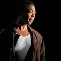 BWW Review: Michael Benjamin Washington Portrays Members Of A Divided Community in Cr Video