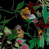 Museum Of Wild And Newfangled Art's Opening Exhibition Curated By Artificial Intellig Photo