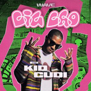 Willow Smith & Kid Cudi Discuss 'Rose Golden' Collab on BIG BRO Photo
