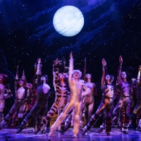 BWW Review: CATS Makes A Triumphant Return to Ottawa at the National Arts Centre Photo