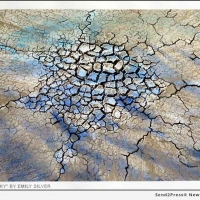 Emily Silver's ON THE MOJAVE ROAD Opens At The Desert Light Gallery Photo