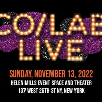Co/Lab Theater Group's Annual Benefit Co/Lab Live! to Honor Liz Plank and Jonathan Br Photo
