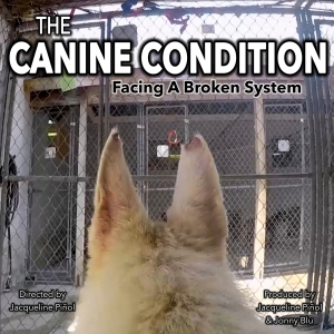 THE CANINE CONDITION: FACING A BROKEN SYSTEM Documentary Short To Compete At The…