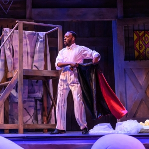 Review: THE MARRIAGE OF FIGARO at Wolf Trap Photo