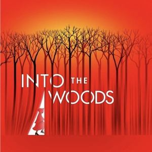 Student Blog: Moments In The Woods Photo