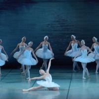 Russian Ballet Theatre's SWAN LAKE Comes To Popejoy Hall Photo