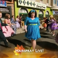 VIDEO: EVERYBODY DANCE NOW! A Look Back at 'You Can't Stop the Beat' From HAIRSPRAY! Photo