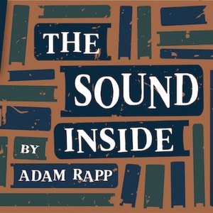 Moonstone Theatre Company to Present the St. Louis Premiere of THE SOUND INSIDE by Ad Video