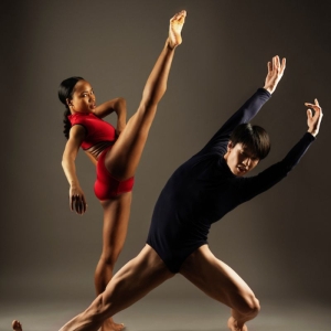 DANCE FOR LIFE 2025 to Feature 10 Chicago Companies in One-Night-Only Performance at 