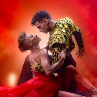 BWW Interview: STRICTLY's Karen Hauer Talks New Stage Show FIREDANCE LIVE Video