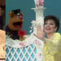 15 Videos of Broadway Stars on THE MUPPET SHOW