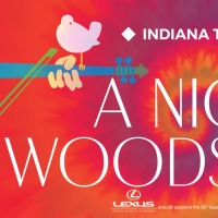 South Bend Symphony Orchestra And Jeans 'n Classics Bring You A NIGHT AT WOODSTOCK On Photo