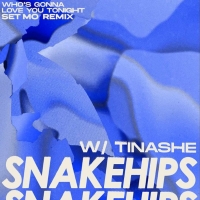 Set Mo Rounds Off Remix Package for Snakehips and Tinashe Photo
