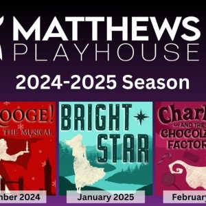 Matthews Playhouse Announces BRIGHT STAR And More for 29th Mainstage Season Photo