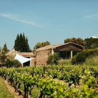 Côtes du Rhône Wines for Quality and Value Photo