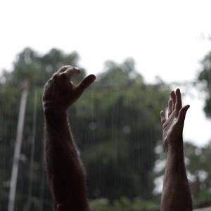 MY FATHER'S PRISON to Premiere on PBS.org Photo