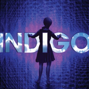 Review: INDIGO at Human Race Theatre Company Photo