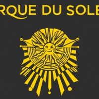 Cirque du Soleil Lays Off 95% of Staff Photo