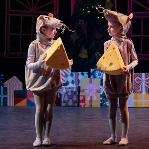 THE NUTCRACKER to be Presented at MCCC's Kelsey Theatre Photo