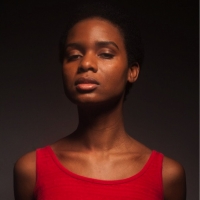 WP THEATER Announces 15 Artists for 2020-22 WP LAB