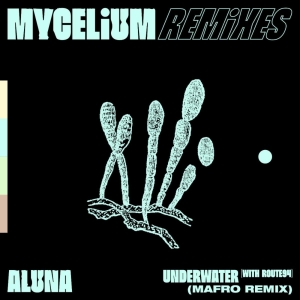 Aluna Shares Euphoric MAFRO Remix Of Route 94 Collab 'Underwater' Photo