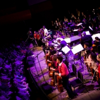 The League of American Orchestras has Awarded the Grand Rapids Symphony a $19,000 Cat Video