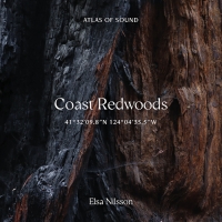 Elsa Nilsson Releases New Album COAST REDWOODS 41°32'09.8”N 124°04'35.5”W Photo