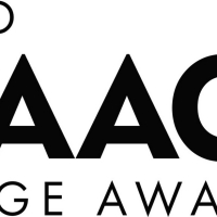 NAACP Image Awards Announces First Round Of Winners During Non-Televised Virtual Exp Photo
