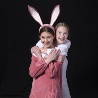 BWW Review: THE VELVETEEN RABBIT at Des Moines Playhouse: An Imaginative Journey…