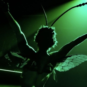 INVASIVE SPECIES Sets New Box Office Records at King's Head Theatre Photo