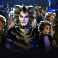 BWW Review: CATS, The Shows Must Go On