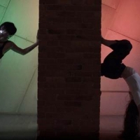 Gibney Company 30th Anniversary Virtual Gala Debuts New Work By Rena Butler, June 30