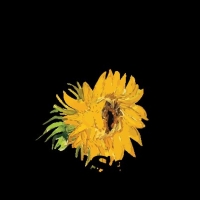 Humphry Slocombe Creates Limited Edition Flavor To Celebrate Immersive Van Gogh