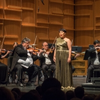 Review: SIBELIUS SYMPHONY NO. 5 at Charlotte Symphony Interview