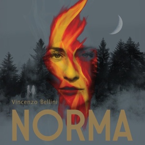 Review: NORMA at Irish National Opera Photo