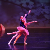 Ballet Ariel Presents THE NUTCRACKER Next Month Photo