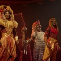 VIDEO: Watch Disneyland Paris' THE LION KING: RHYTHMS OF THE PRIDE LANDS Stage Show Photo