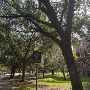 Student Blog: Seizing the Rest of the Semester