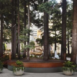 OPERA DAY IN THE BAY to Present Free Concert with 13 Bay Area Companies Photo