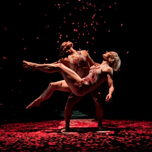 Review: PILOBOLUS: OTHER WORLDS COLLECTION at Strathmore Photo