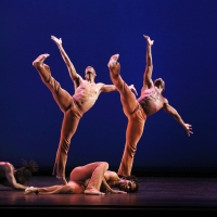 BWW Review: Honoring Donald McKayle at Lincoln Center with PTAMD