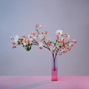 Mxmtoon Releases 'PLUM BLOSSOM (REVISITED)' EP Photo