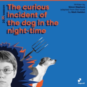 Review: THE CURIOUS INCIDENT OF THE DOG IN THE NIGHT-TIME at Stagecraft Photo