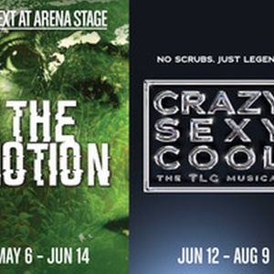 Arena Stage to Present VOICES OF NOW Festival of Youth-Devised Theater Photo